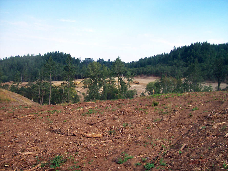 Eola Hills - Legacy Vineyard - Photo 3