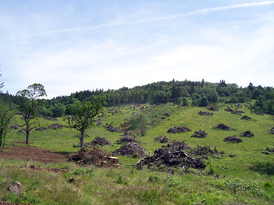 Eola Hills - Legacy Vineyard - Photo 4