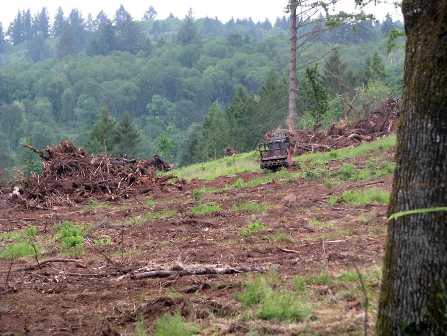 Eola Hills - Legacy Vineyard - Photo 7