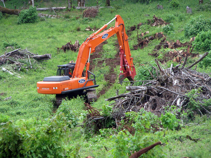Eola Hills - Legacy Vineyard - Photo 9