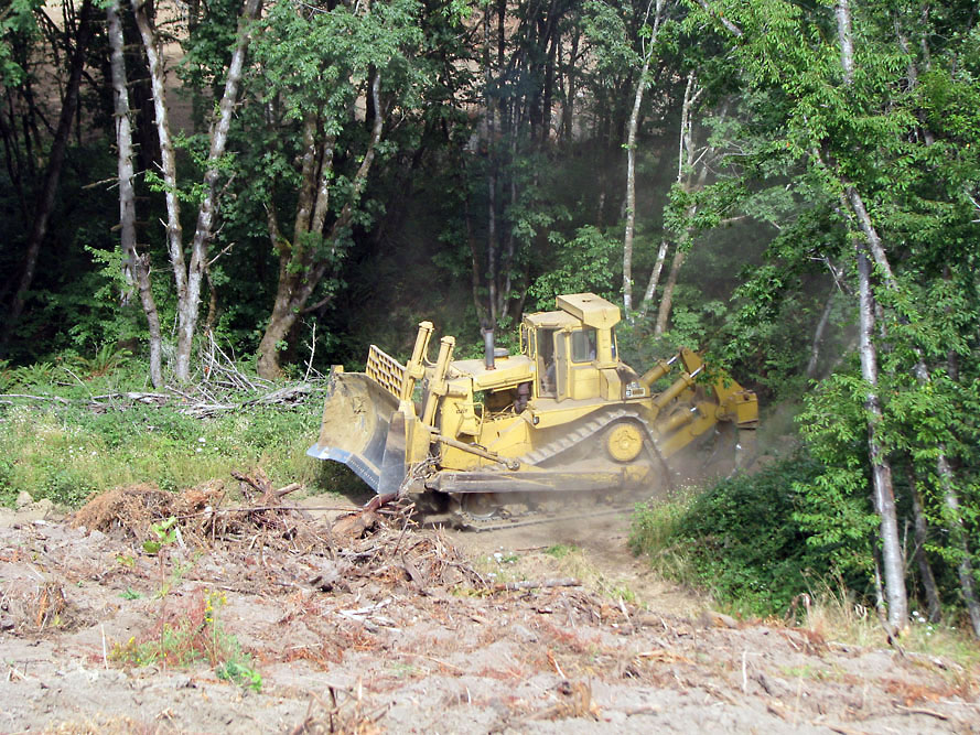 Eola Hills - Legacy Vineyard - Photo 12