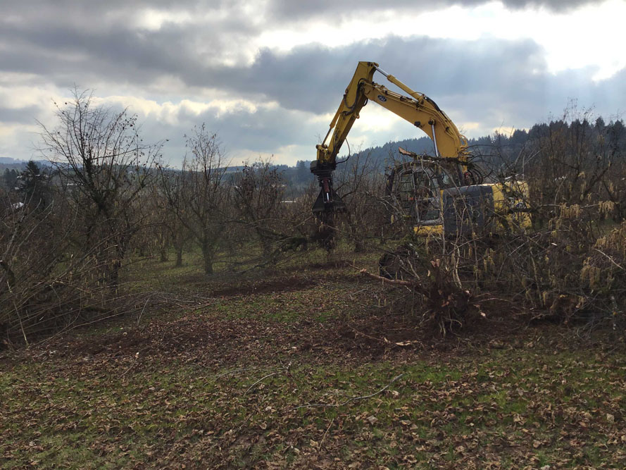 Doe Ridge Clearing - Image 3