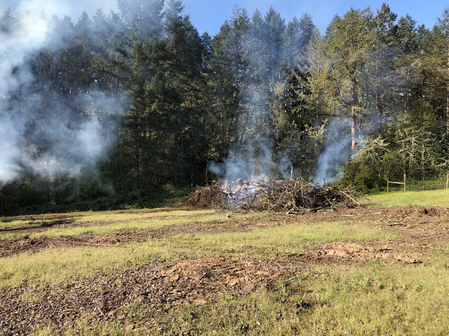 Doe Ridge Clearing - Image 13