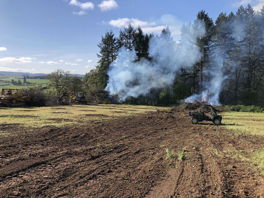 Doe Ridge Clearing - Image 14