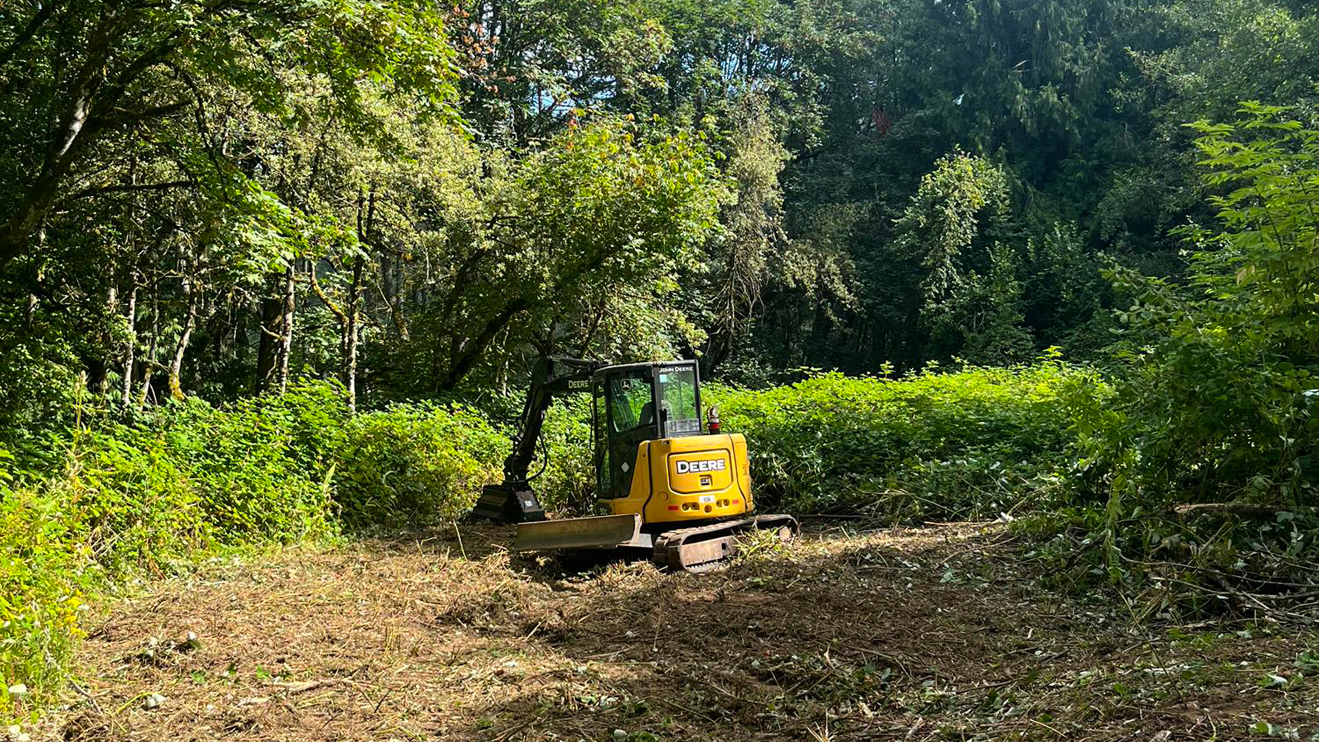 Evergreen Lodge - Slide 1