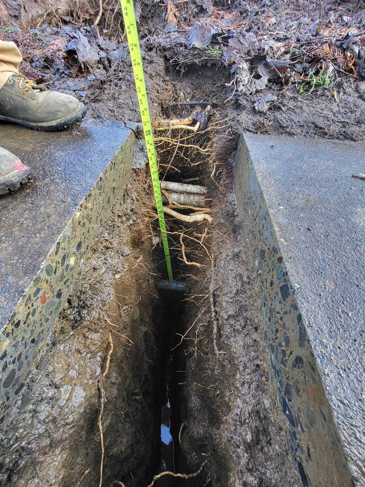 North Valley Complex - Image 21